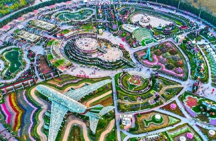    (Dubai Miracle Garden)